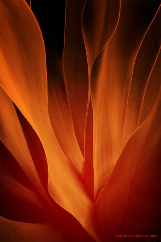 巧用PS进行调色