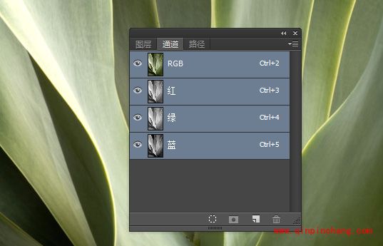 巧用PS进行调色