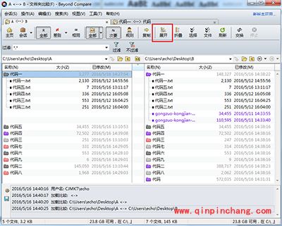 Beyond Compare比较不同名称子文件夹方法