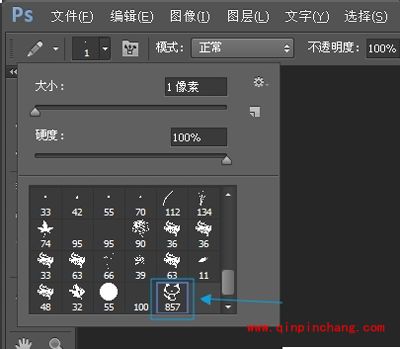 ps笔刷怎么安装?