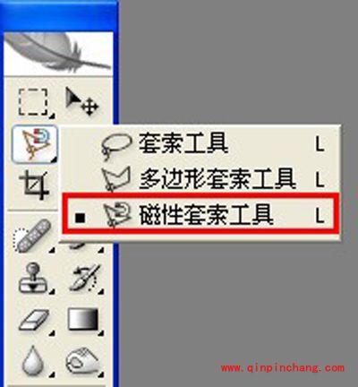 photoshop套索工具-轻松抠图