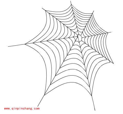 freehand教程之三招两式创建蜘蛛网