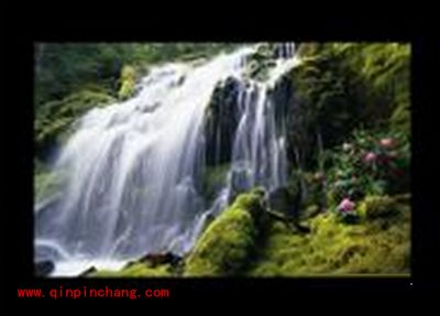 xp系统电脑显示器出现黑色边框怎么办？