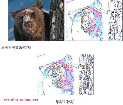 PS风格化滤镜的使用方法图解