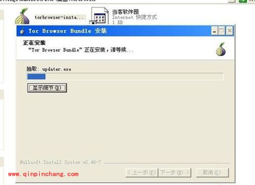 洋葱浏览器怎么用？Tor Browser浏览器使用图文教程