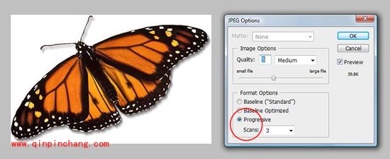 瞬间成为网页设计师必知的六大技巧
