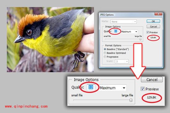瞬间成为网页设计师必知的六大技巧