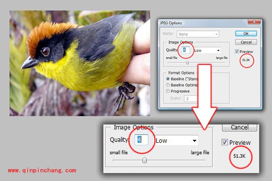 瞬间成为网页设计师必知的六大技巧