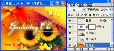 Photoshop教程:初学者必知的专业术语