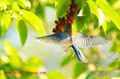 iSee软件四步搞定海量假日图片(初级篇)