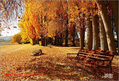 怎么制作日历？彩影快速制作日历教程