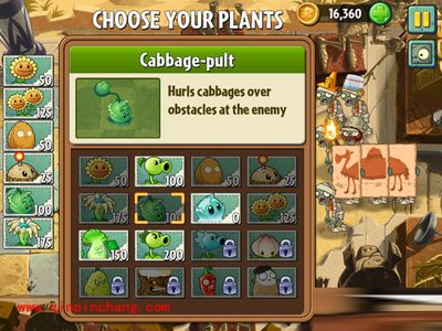 植物大战僵尸2中埃及第六关卡的通关守则