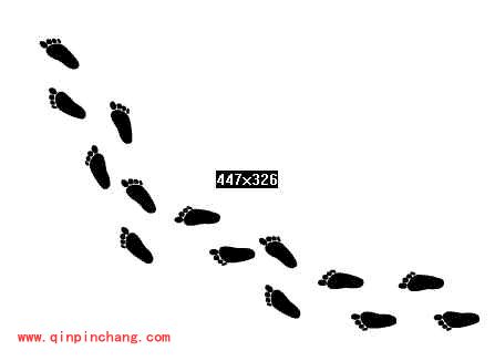 Freehand：详解自定义画笔功能