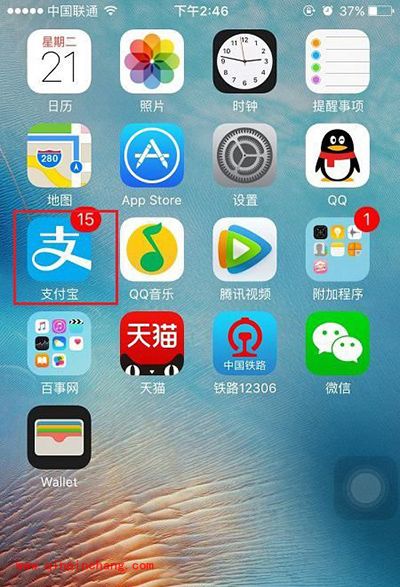 支付宝查询高考成绩图文教程