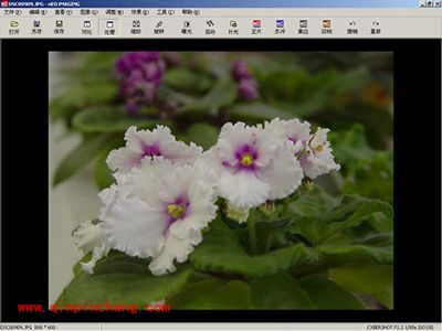光影魔术手之色阶介绍