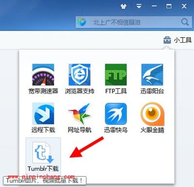 Tumblr图片怎么下载？迅雷如何下载Tumblr图片？