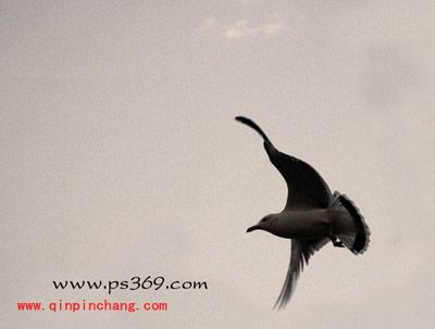 photoshop的裁切工具