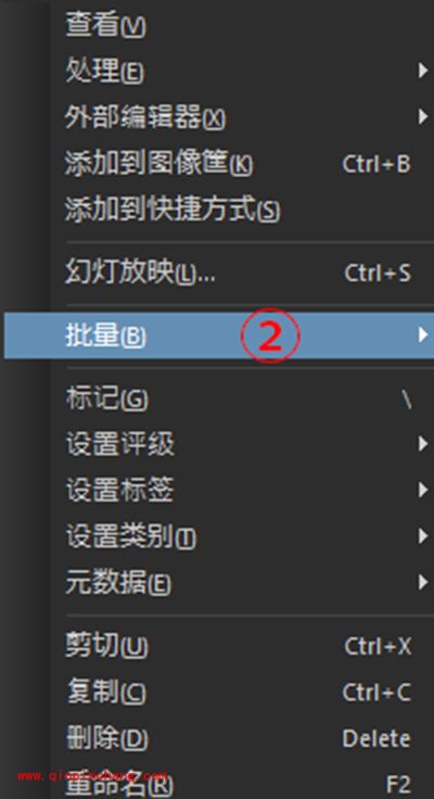 看图软件acdsee转换图片格式图文步骤