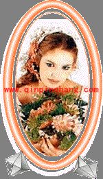 FreeHand教程之镜框制作