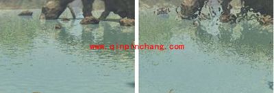 PS扭曲滤镜使用方法图文案例