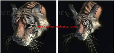 PS扭曲滤镜使用方法图文案例