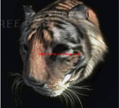 PS扭曲滤镜使用方法图文案例