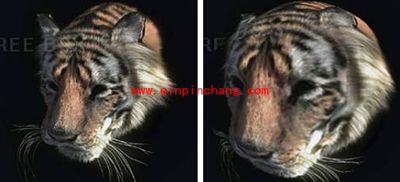 PS扭曲滤镜使用方法图文案例