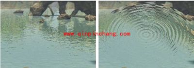 PS扭曲滤镜使用方法图文案例