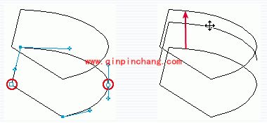 Freehand教程：制作3D圆形分格统计图