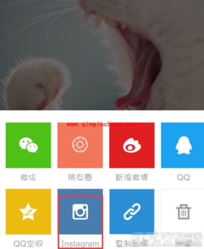 nice保存图片方法