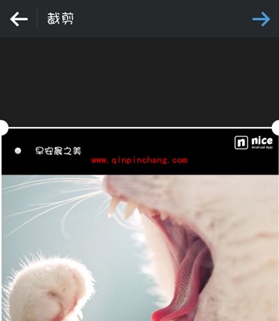 nice保存图片方法