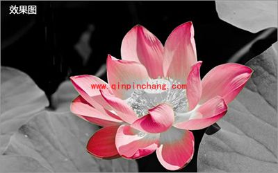 怎么让图片只剩一种颜色？彩影保留一种颜色教程