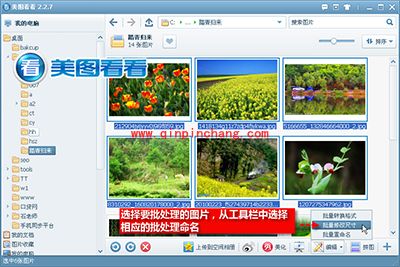 踏青照片,美图看看帮你一键整理