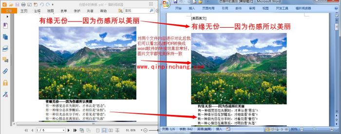 简单易学！PDF转换成Word教程