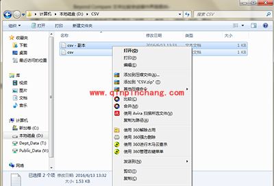Beyond Compare对比CSV文件方法介绍