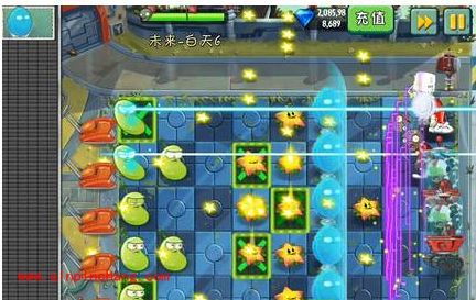 植物大战僵尸2未来世界第6天植物排列攻略