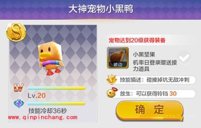 天天风之旅小黑鸭隐藏属性介绍