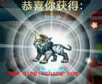 天天酷跑积分抽奖百抽百中攻略之永久坐骑