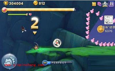 天天风之旅忍者兔任务高分攻略