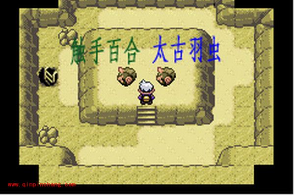 口袋妖怪攻略之漆黑的魅影的幻影塔位置