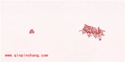 奇迹暖暖喜绣缘中式婚纱套装欣赏