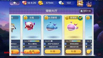 天天风之旅吸血艾拉220W装备搭配攻略