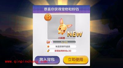 天天风之旅新手玩家获得宠物的方法