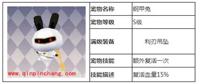 天天风之旅宠物攻略之钢甲兔