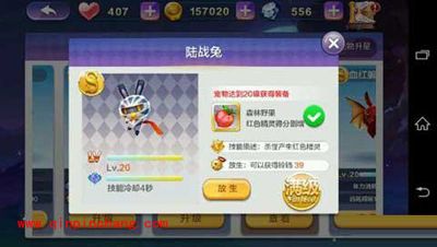 天天风之旅陆战兔满级攻略