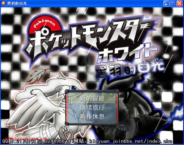 口袋妖怪攻略之黑羽的白光剧情