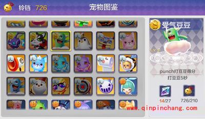 天天风之旅S级宠物受气豆豆满级属性