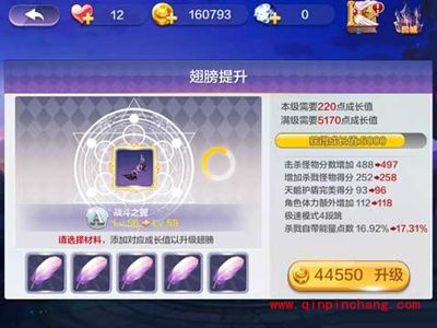 天天风之旅战斗之翼升60级攻略