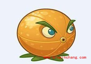 植物大战僵尸2充能柚子属性技能、进阶表一览