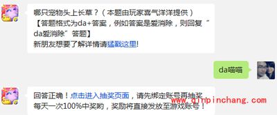 天天爱消除攻略:哪只宠物头上长草?